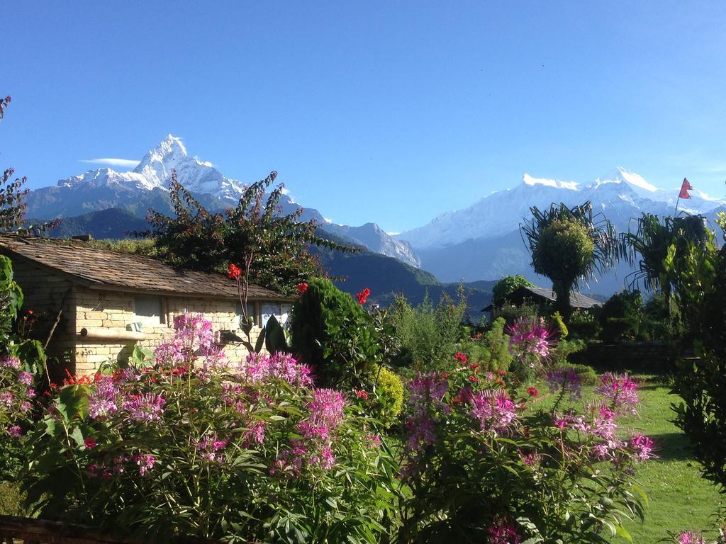 Annapurna Eco Village Pokhara Eksteriør billede