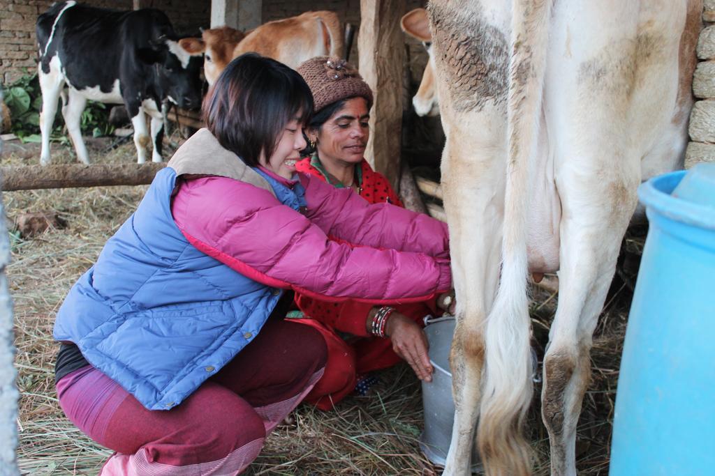 Annapurna Eco Village Pokhara Eksteriør billede