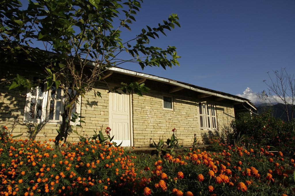 Annapurna Eco Village Pokhara Eksteriør billede