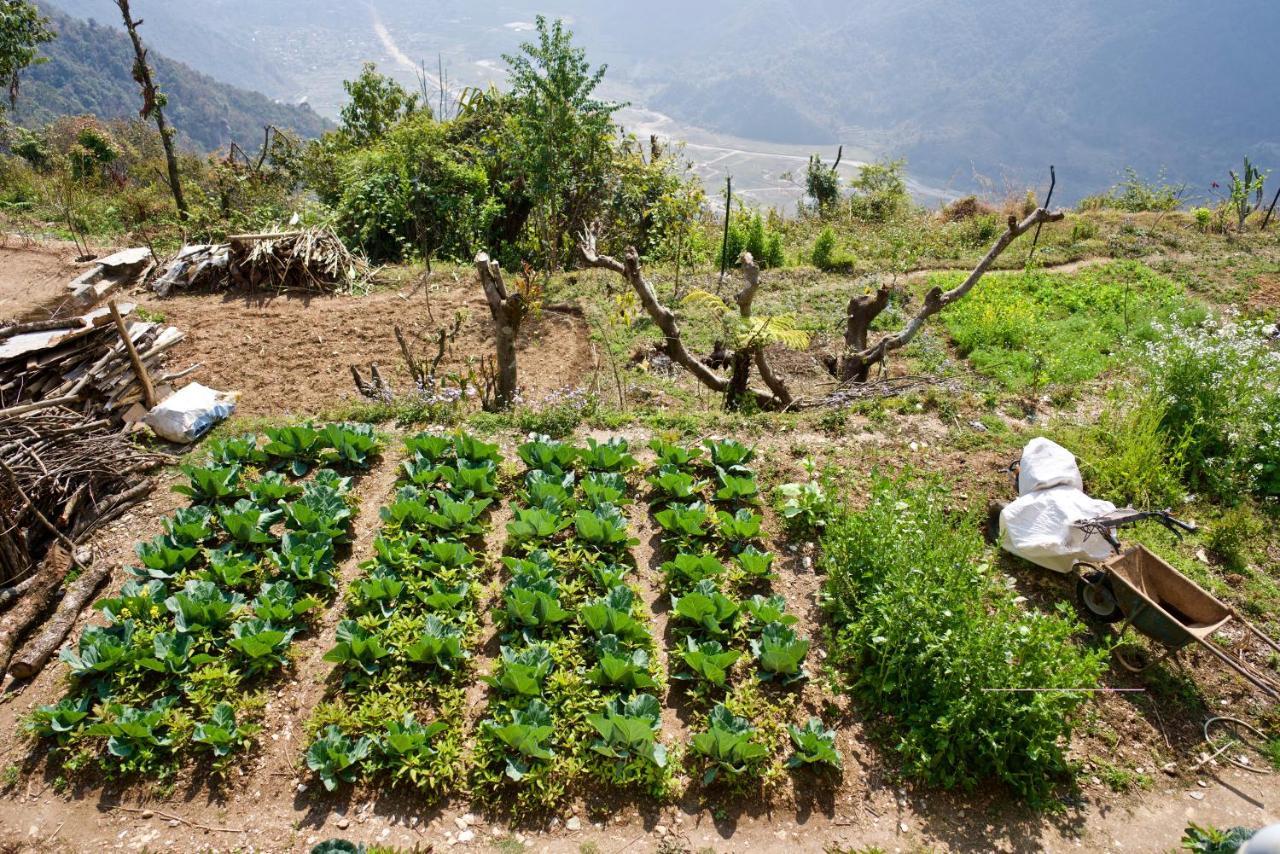 Annapurna Eco Village Pokhara Eksteriør billede