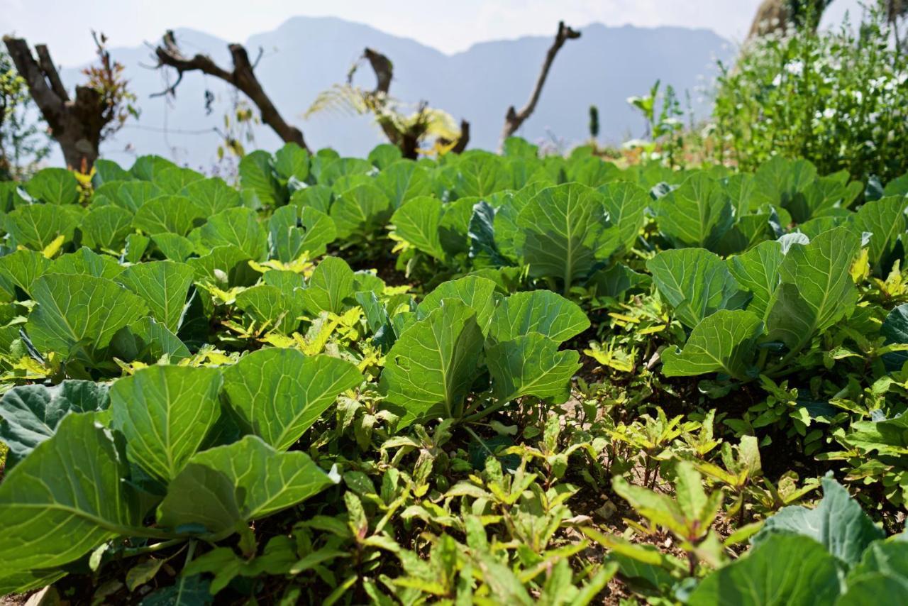 Annapurna Eco Village Pokhara Eksteriør billede